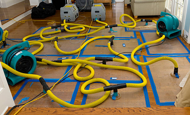 Professional Crawl Space Water Removal technician working in Springdale, OH